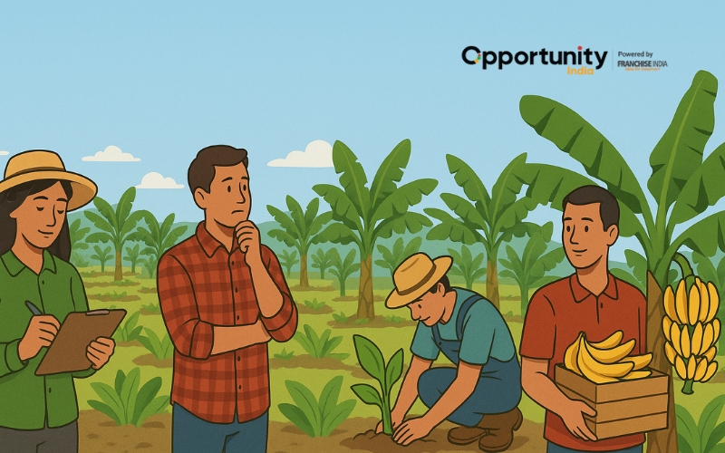 How to Start a Banana Farming Business?